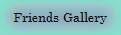 Friends Gallery