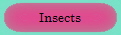 Insects