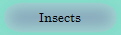 Insects