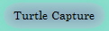 Turtle Capture