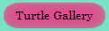 Turtle Gallery