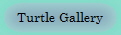 Turtle Gallery