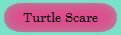 Turtle Scare