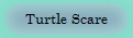 Turtle Scare
