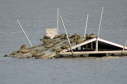 Platform swarm,  2004