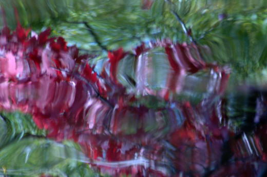 Foliage