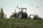 Farms