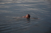 Water sprite