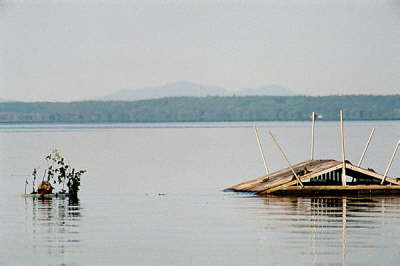Capture, 2003