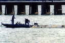 Anglers, 2003