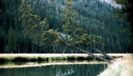 Mountains